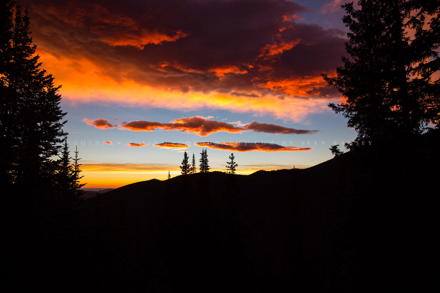 Western landscape photography print of a colorful sky over pine tree and mountain silhouettes at sunrise on an autumn morning in Rocky Mountain National Park, Colorado by Sean Ramsey of Southern Plains Photography.