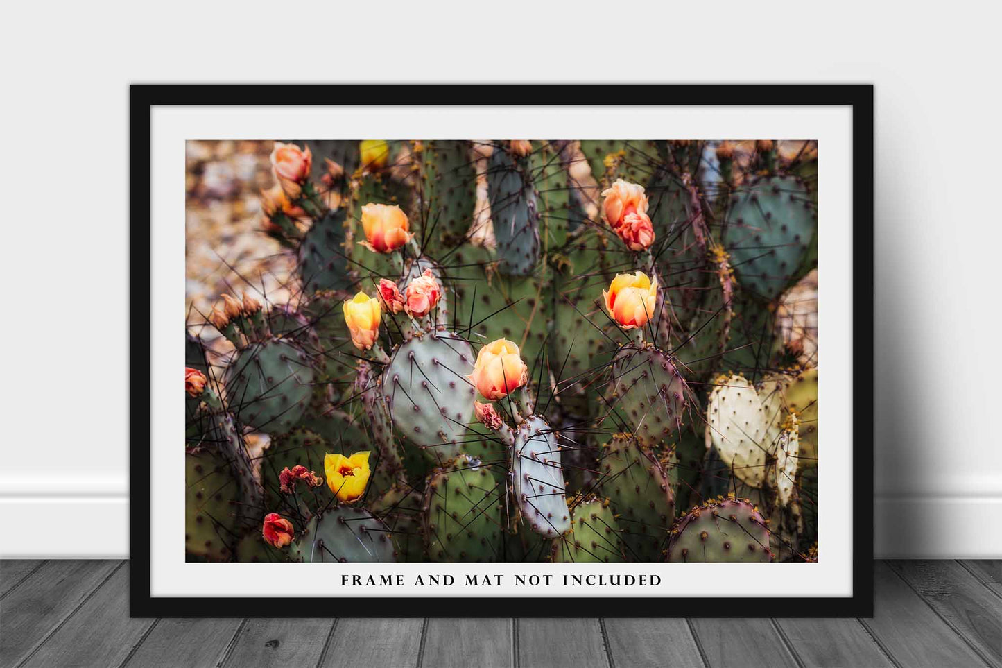 Prickly Pear Cactus Photography Print | Flower Blossoms Picture | Big Bend National Park Wall Art | West Texas Photo | Botanical Decor | Not Framed