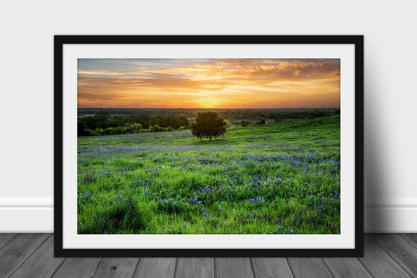 Framed and matted photography print of a lone tree in a field of bluebonnets at sunset on a spring evening in Texas by Sean Ramsey of Southern Plains Photography.