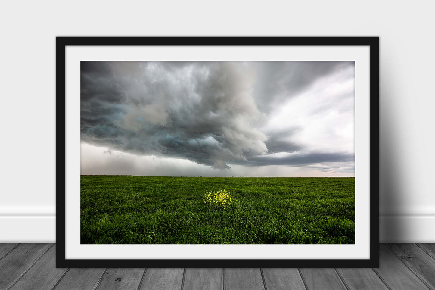 Framed storm print of yellow wildflowers in a green field as a thunderstorm passes overhead on a stormy day in Texas by Sean Ramsey of Southern Plains Photography.