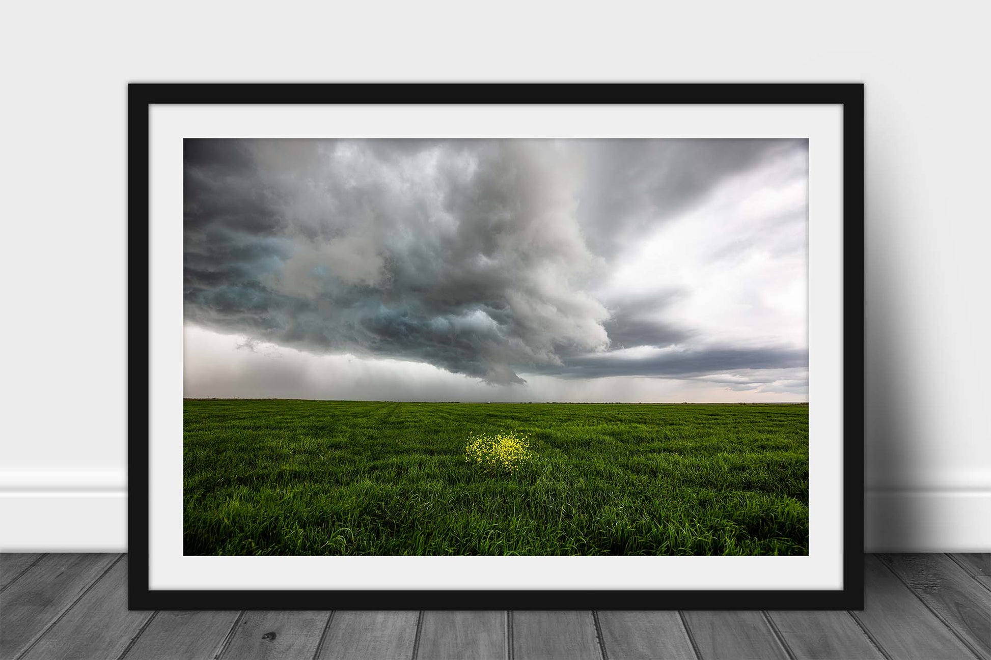 Framed storm print of yellow wildflowers in a green field as a thunderstorm passes overhead on a stormy day in Texas by Sean Ramsey of Southern Plains Photography.