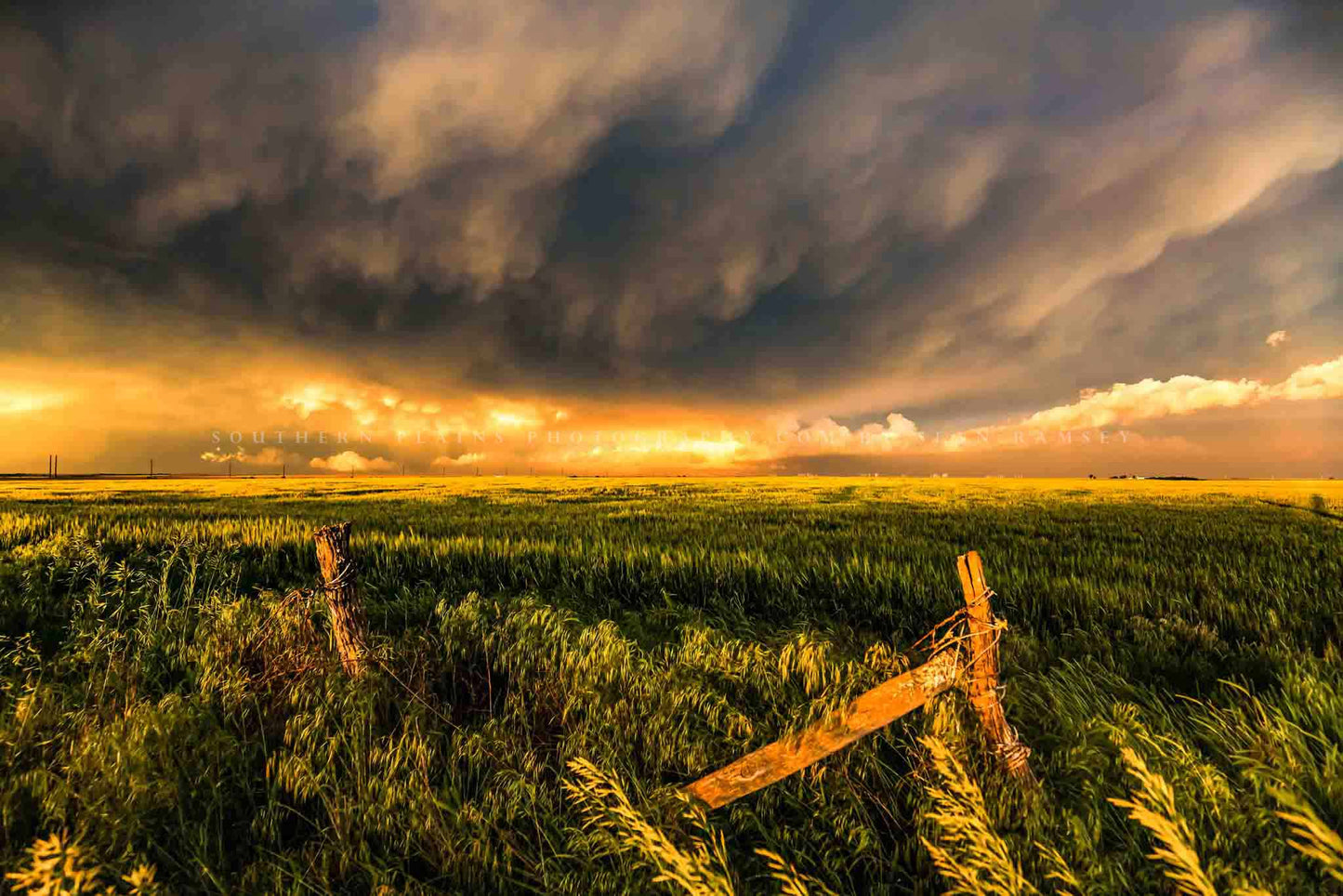 Great plains photography print of storm clouds illuminated by golden sunlight over barbed wire fence posts in a wheat field on a stormy evening in Kansas by Sean Ramsey of Southern Plains Photography.