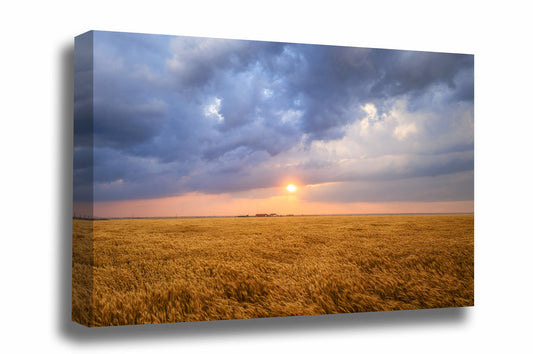 Country canvas wall art of the sun breaking through storm clouds over a golden wheat field at sunset in Oklahoma by Sean Ramsey of Southern Plains Photography.