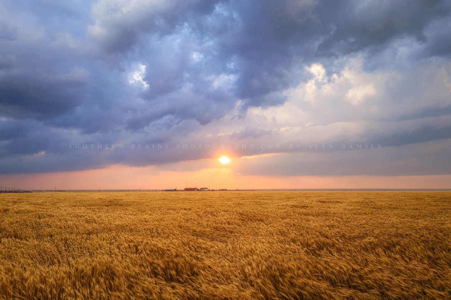 Country photography print of the sun breaking through storm clouds over a golden wheat field at sunset in Oklahoma by Sean Ramsey of Southern Plains Photography.