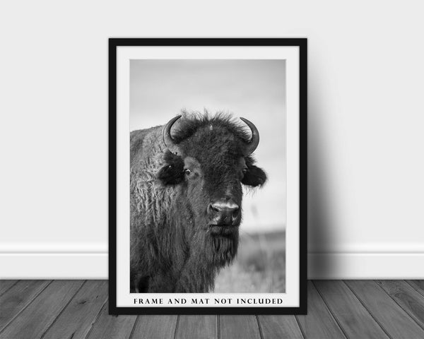 Buffalo Wall Art - Vertical Black and White Picture of Bison in Oklahoma - Western Wildlife Photography Photo Print Artwork Decor