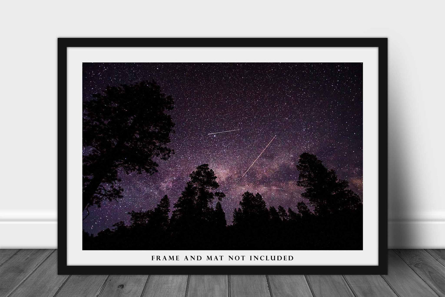 Night Sky Photo Print | Shooting Stars Picture | Colorado Wall Art | Nature Photography | Celestial Decor