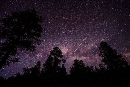 Celestial photography print of shooting stars, planes and satellites crossing the night sky above pine tree silhouettes on a starry night in Colorado by Sean Ramsey of Southern Plains Photography.