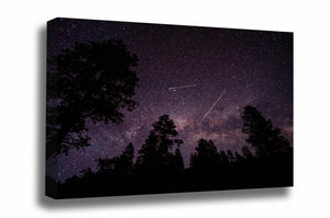 Celestial canvas wall art of a shooting star, plane and satellite crossing in front of the Milky Way in the night sky above pine tree silhouettes in the Colorado Rocky Mountains by Sean Ramsey of Southern Plains Photography.