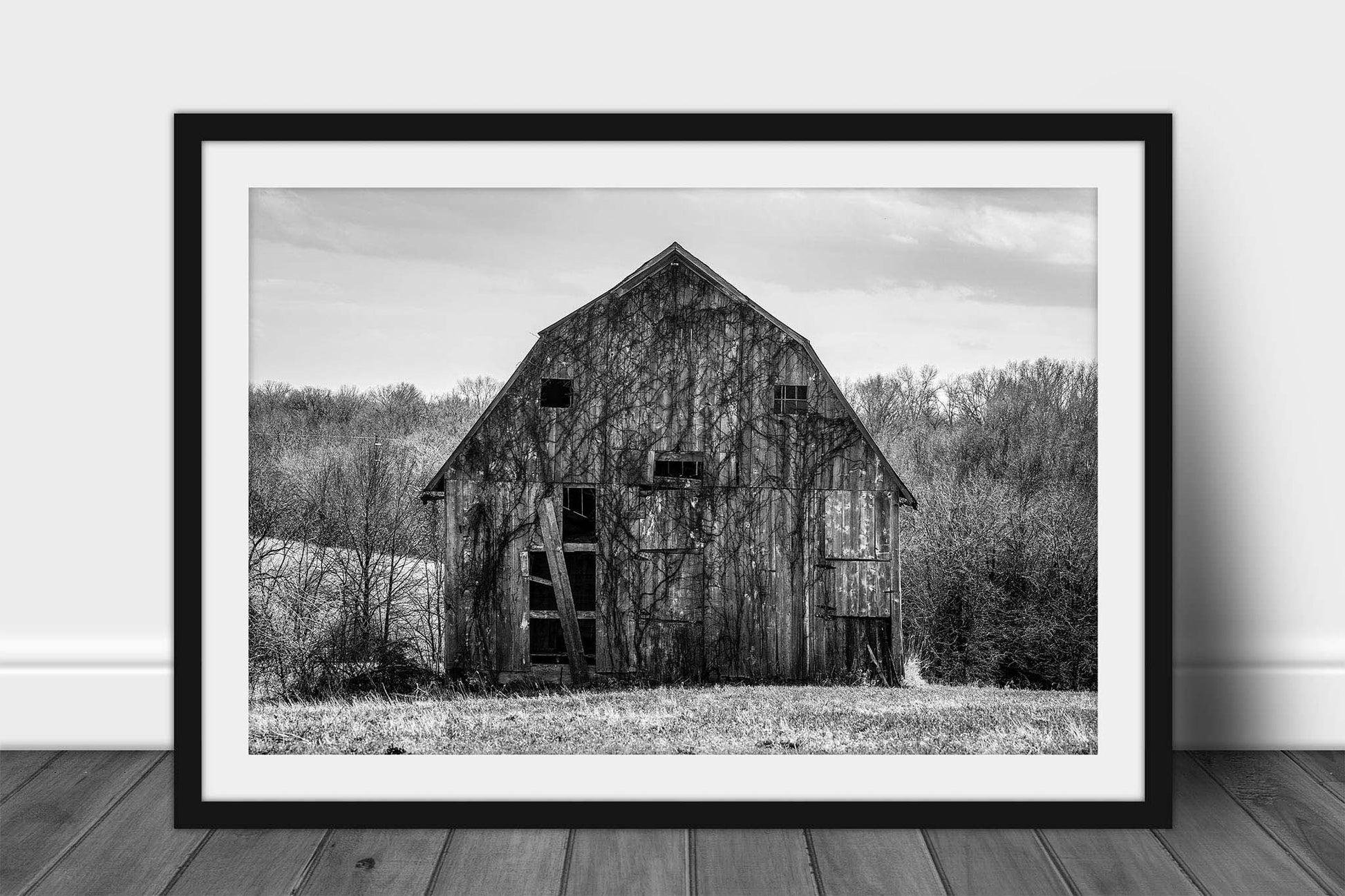 Framed and matted black and white country print of an old barn covered in vines in Missouri by Sean Ramsey of Southern Plains Photography.