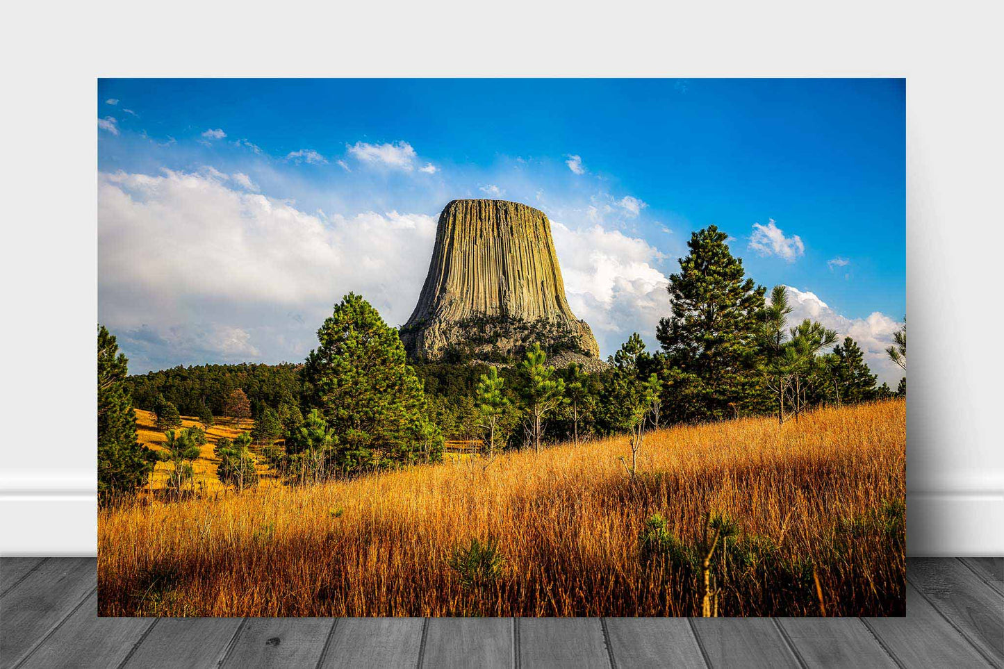 Western landscape aluminum metal print wall art of Devils Tower on an autumn day in the Black Hills of Northeastern Wyoming by Sean Ramsey of Southern Plains Photography.