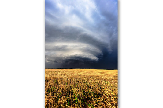 Vertical storm photography print of a supercell thunderstorm over a golden field on a stormy day in Oklahoma by Sean Ramsey of Southern Plains Photography.