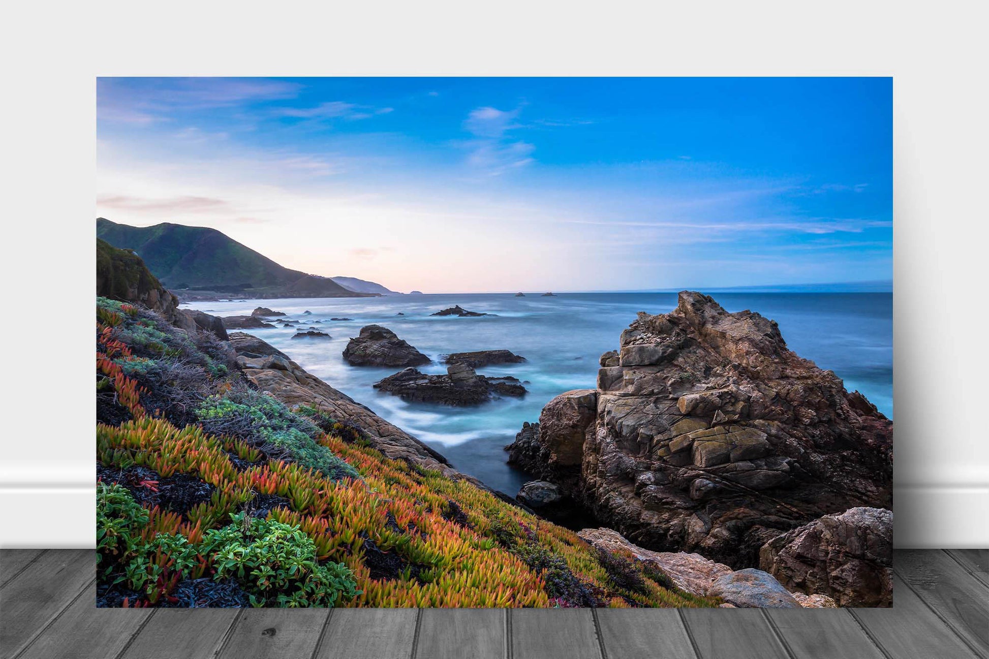Coastal metal print wall art of colorful succulents along the Pacific Coast at sunrise in Big Sur, California by Sean Ramsey of Southern Plains 
Photography.