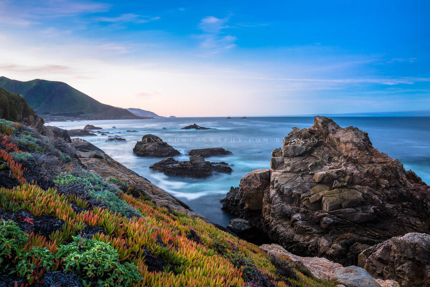 Coastal photography print of colorful succulents lining the shore at sunrise along the Pacific Ocean at Big Sur, California by Sean Ramsey of Southern Plains Photography.