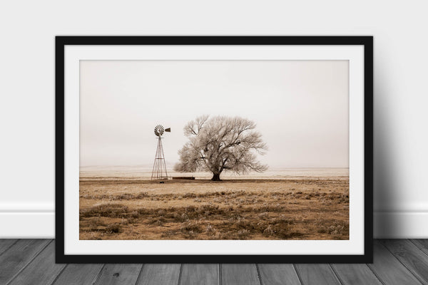Framed farmhouse print with optional mat of a tree and old windmill covered in frost on a foggy winter morning on the high plains of New Mexico by Sean Ramsey of Southern Plains Photography.