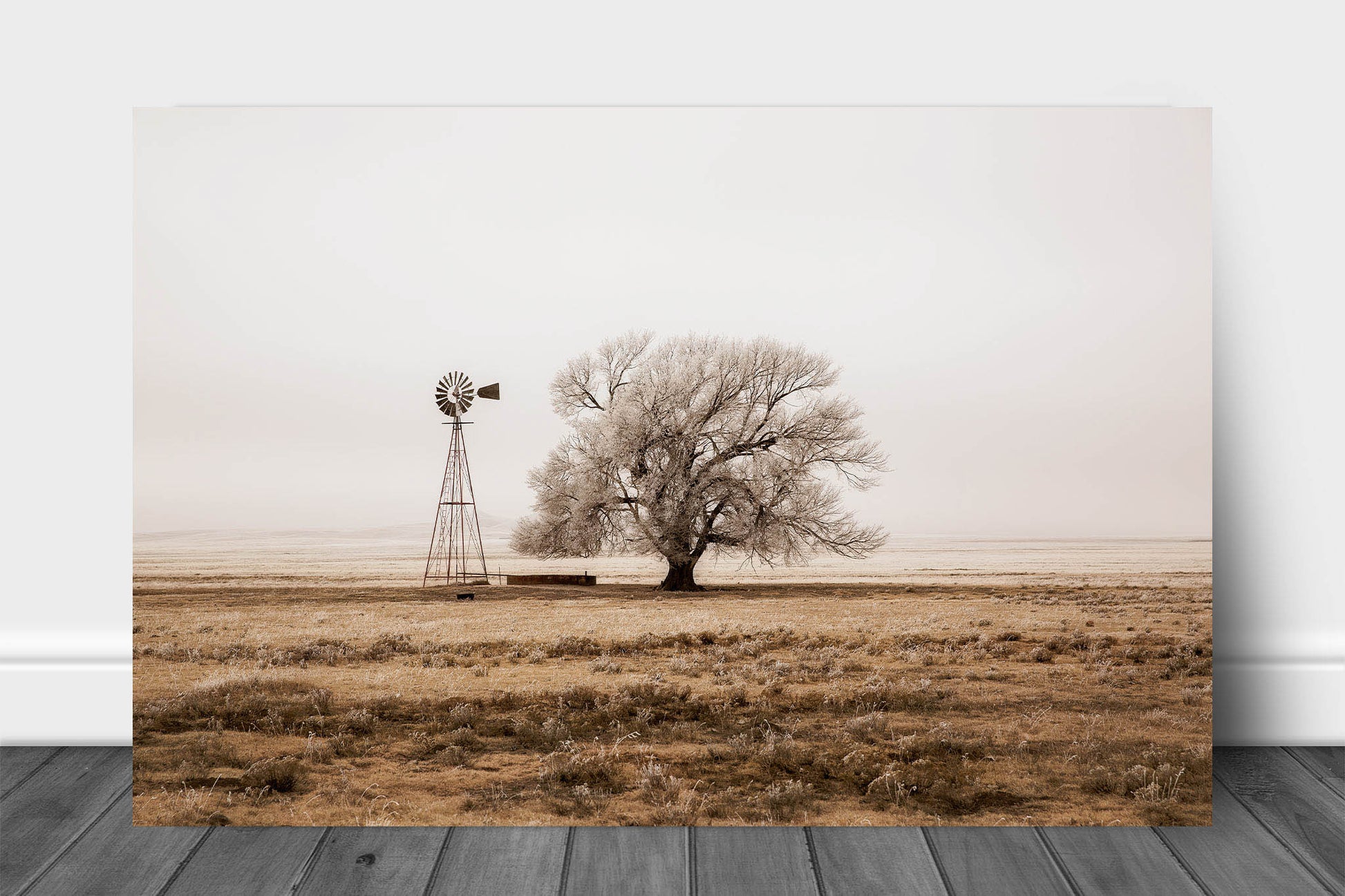Farmhouse metal print on aluminum of an old windmill and tree covered in frost on a chilly winter morning in New Mexico by Sean Ramsey of Southern Plains Photography.