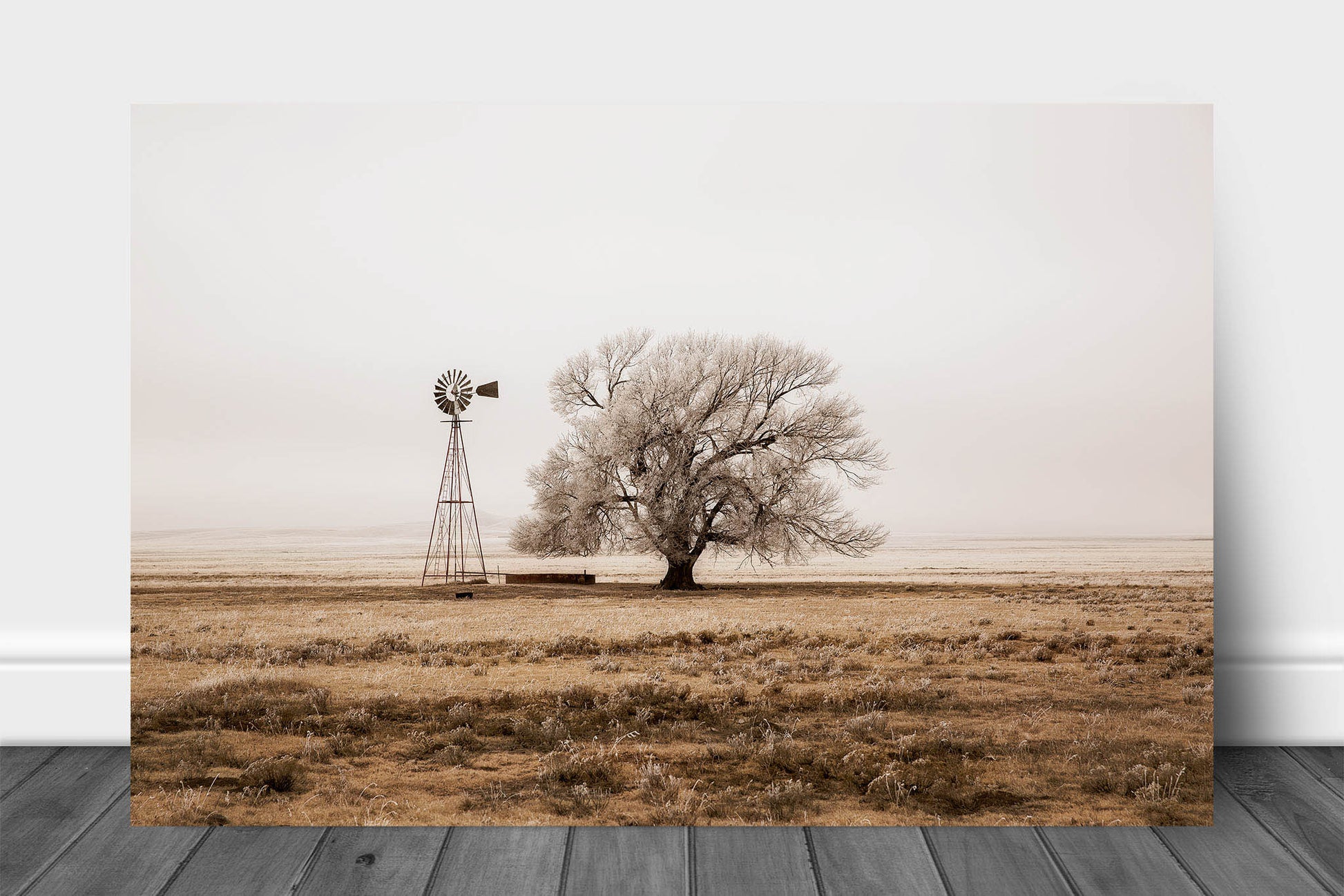 Farmhouse metal print on aluminum of an old windmill and tree covered in frost on a chilly winter morning in New Mexico by Sean Ramsey of Southern Plains Photography.
