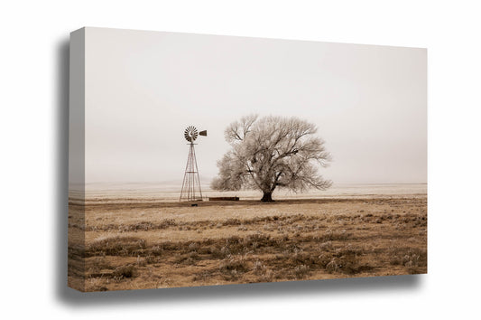 Farmhouse canvas wall art of a tree and old windmill covered in frost on a foggy winter morning on the high plains of New Mexico in sepia tone by Sean Ramsey of Southern Plains Photography.