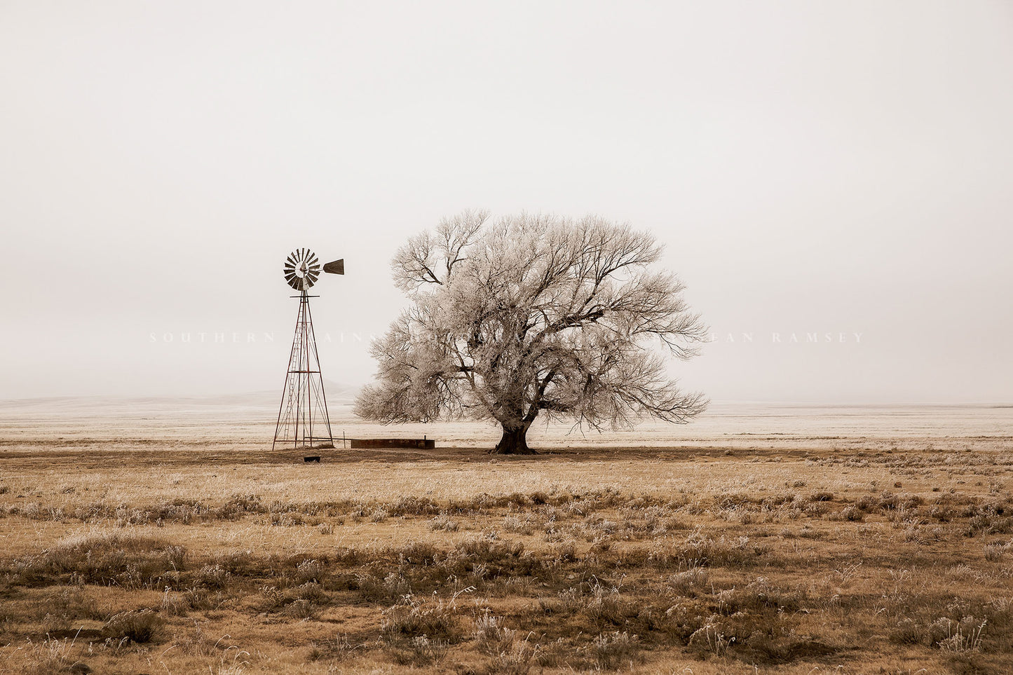   Country photography print of a tree and an old windmill covered in frost on a cold winter day on the plains of New Mexico in sepia tone by Sean Ramsey of Southern Plains Photography.