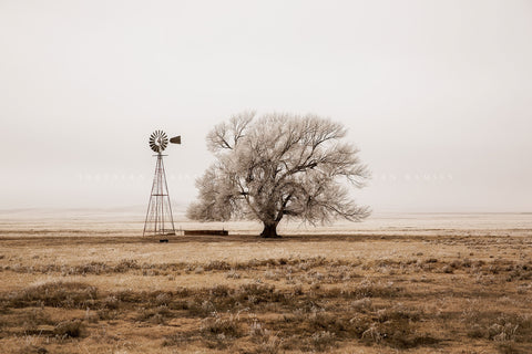 Country photography print of a tree and an old windmill covered in frost on a cold winter day on the plains of New Mexico in sepia tone by Sean Ramsey of Southern Plains Photography.