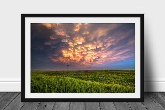 Framed and matted storm print of mammatus clouds illuminated by sunlight over a wheat field at sunset on a stormy spring evening in Kansas by Sean Ramsey of Southern Plains Photography.
