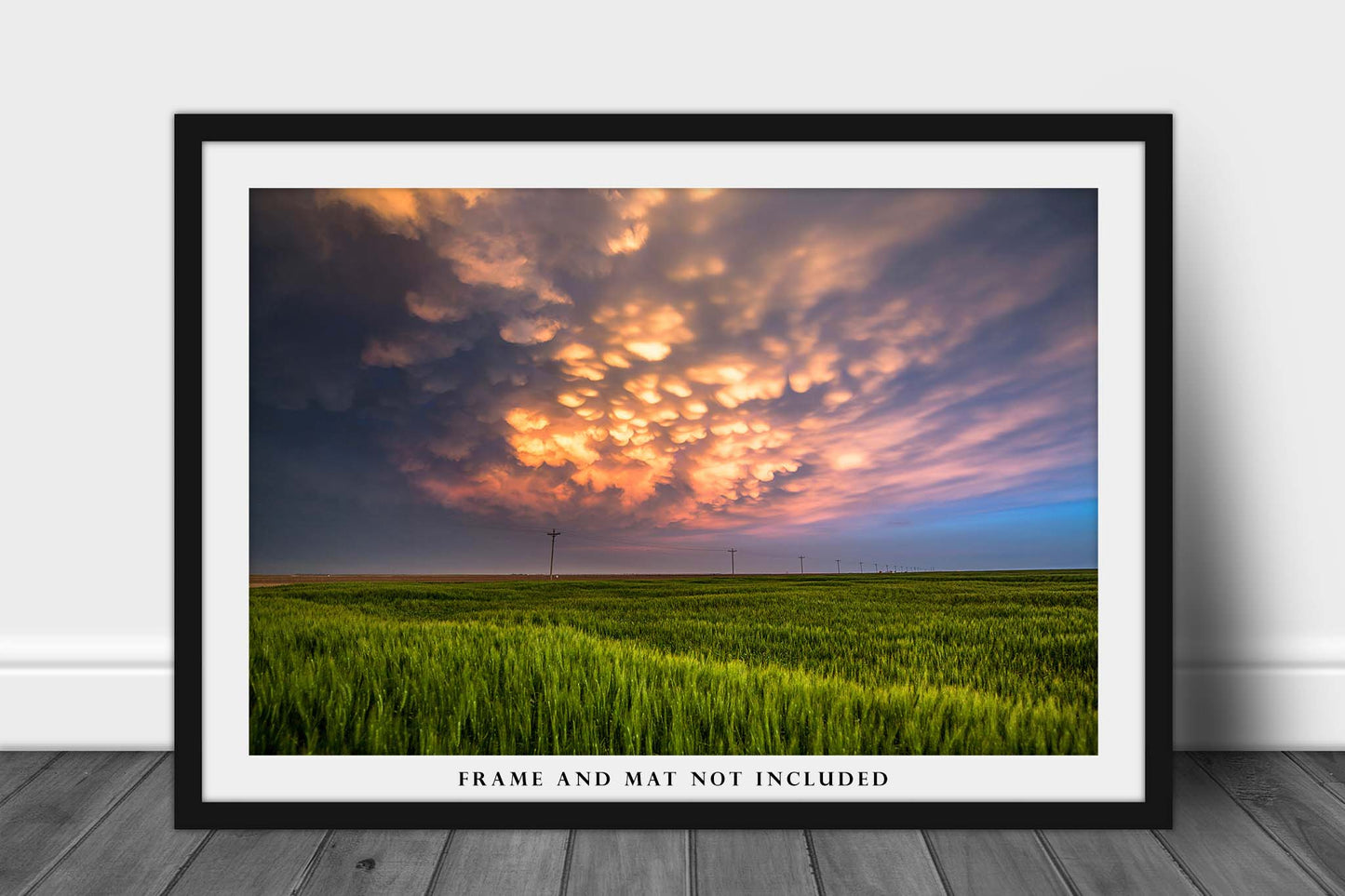 Fine Art Sky Photography Print - Picture of Sunlit Mammatus Clouds Over Fields in Western Kansas Nature Photograph Scenic Home Decor
