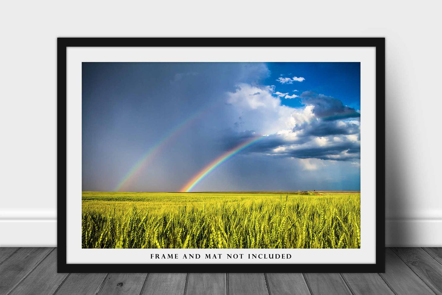 Country Photo Print | Double Rainbow Over Wheat Field Picture | Kansas Wall Art | Landscape Photography | Farmhouse Decor