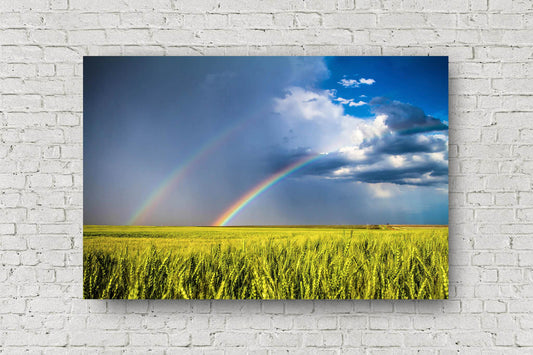 Great plains metal print on aluminum of a double rainbow over a wheat field on a stormy spring day in Kansas by Sean Ramsey of Southern Plains Photography.