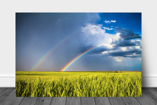 Great plains metal print on aluminum of a double rainbow over a wheat field on a stormy spring day in Kansas by Sean Ramsey of Southern Plains Photography.