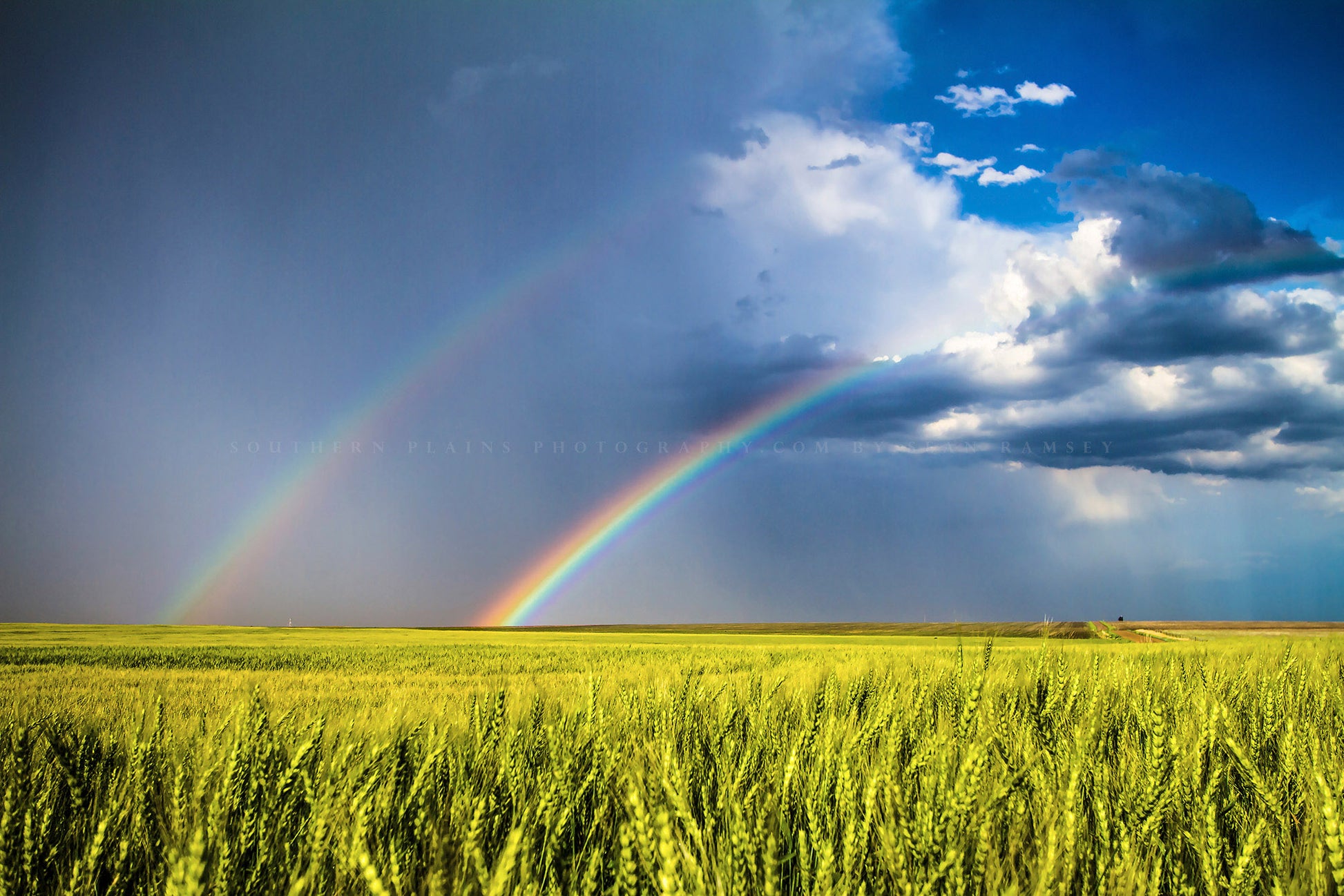 Country photography print of a double rainbow over a wheat field after a stormy spring day in Kansas by Sean Ramsey of Southern Plains Photography.
