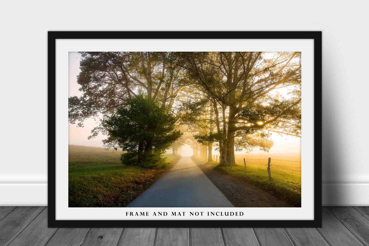 Tennessee Art Print - Fine Art Photograph of Road in Cades Cove Aglow From Fog in Morning Light Smoky Mountains Decor Landscape Picture
