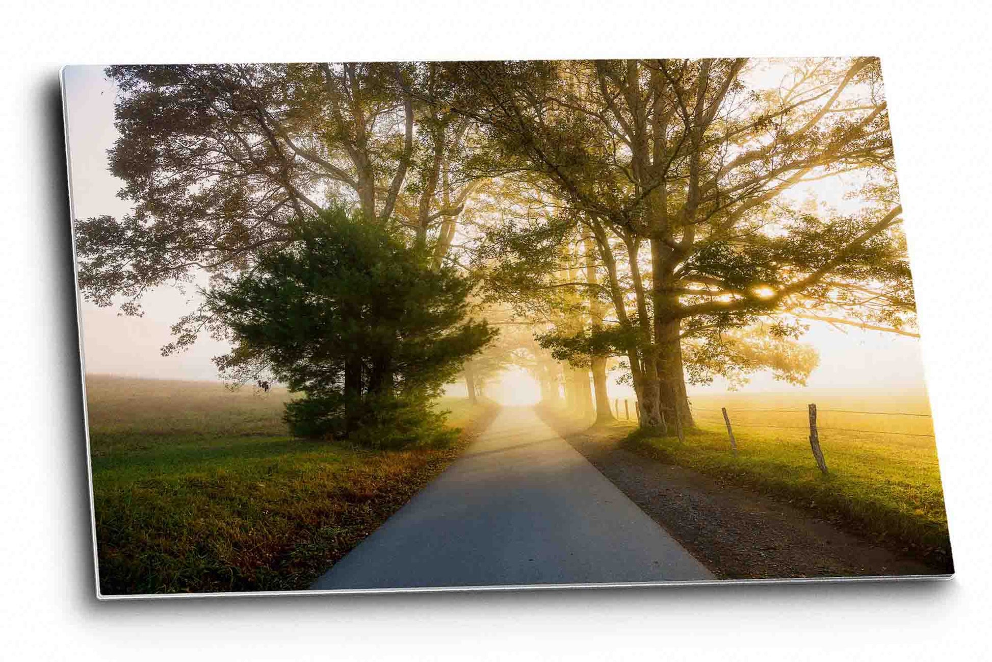 Ethereal metal print on aluminum of a road leading through sunlit fog and trees on an autumn morning along Cades Cove Loop in the Great Smoky Mountains of Tennessee by Sean Ramsey of Southern Plains Photography.