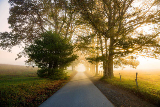 Ethereal photography print of a road leading through trees in sunlit fog on an autumn morning along Cades Cove Loop in the Great Smoky Mountains of Tennessee by Sean Ramsey of Southern Plains Photography.