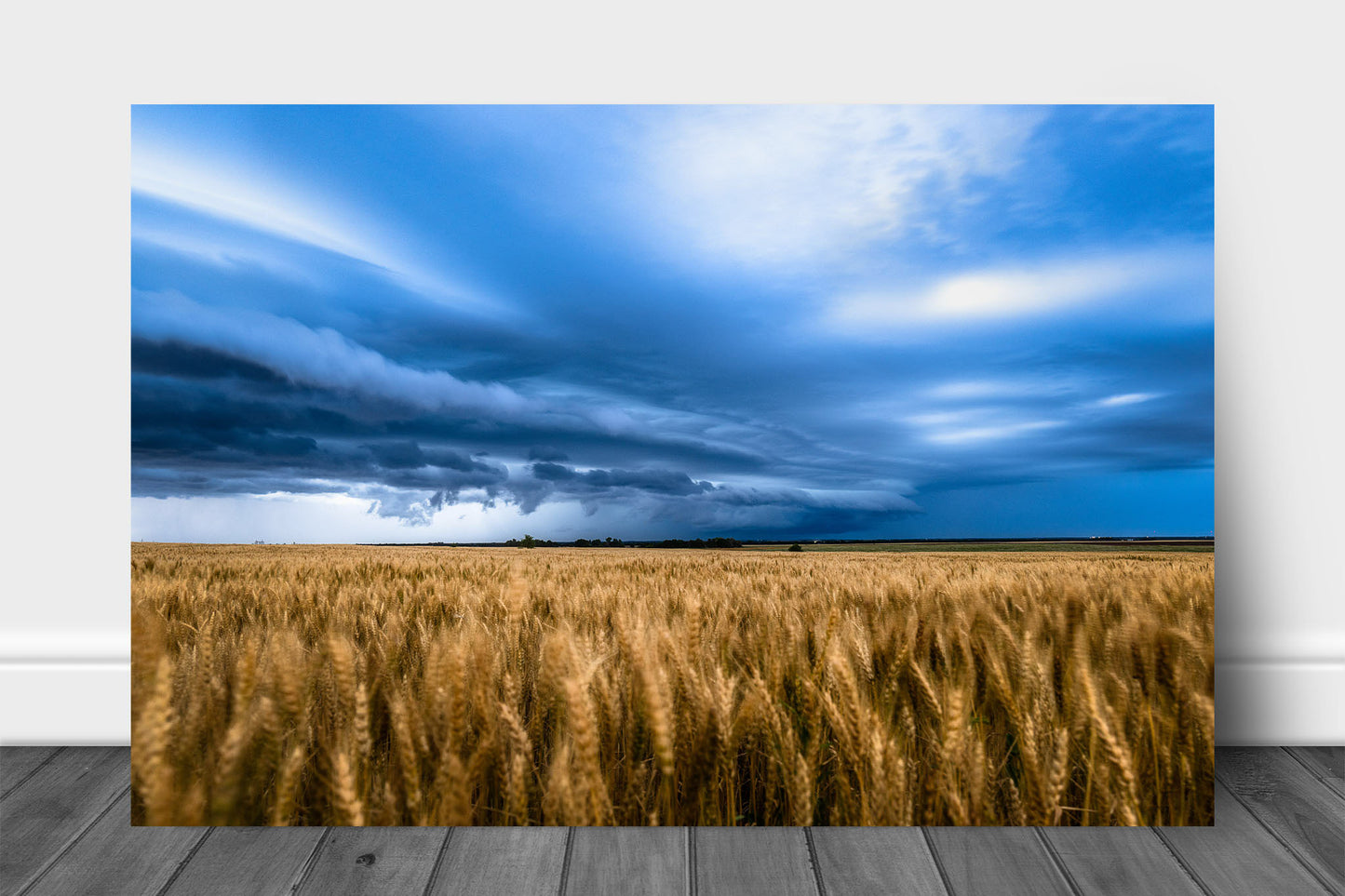 Great plains aluminum metal print wall art of a thunderstorm advancing over a golden wheat field on a stormy spring evening in Kansas by Sean Ramsey of Southern Plains Photography.