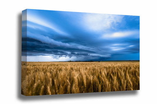 Great plains gallery wrapped canvas wall art of a thunderstorm advancing over a golden wheat field on a stormy spring evening in Kansas by Sean Ramsey of Southern Plains Photography.