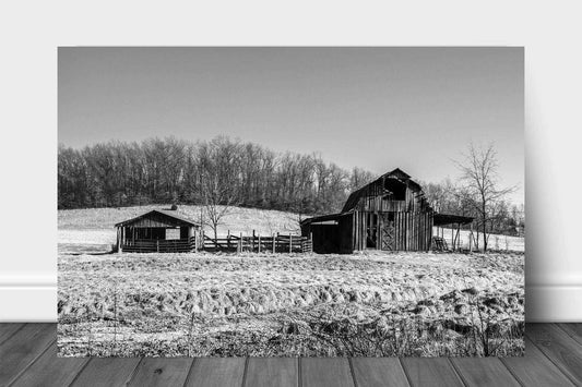 Country metal print of an old barn and pen on a winter day in Arkansas in black and white by Sean Ramsey of Southern Plains Photography.