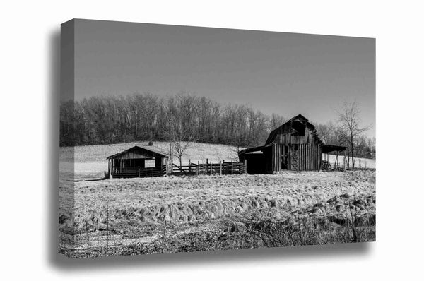 Country canvas wall art of an old wooden barn and pen on an early spring day in Arkansas in black and white by Sean Ramsey of Southern Plains Photography.