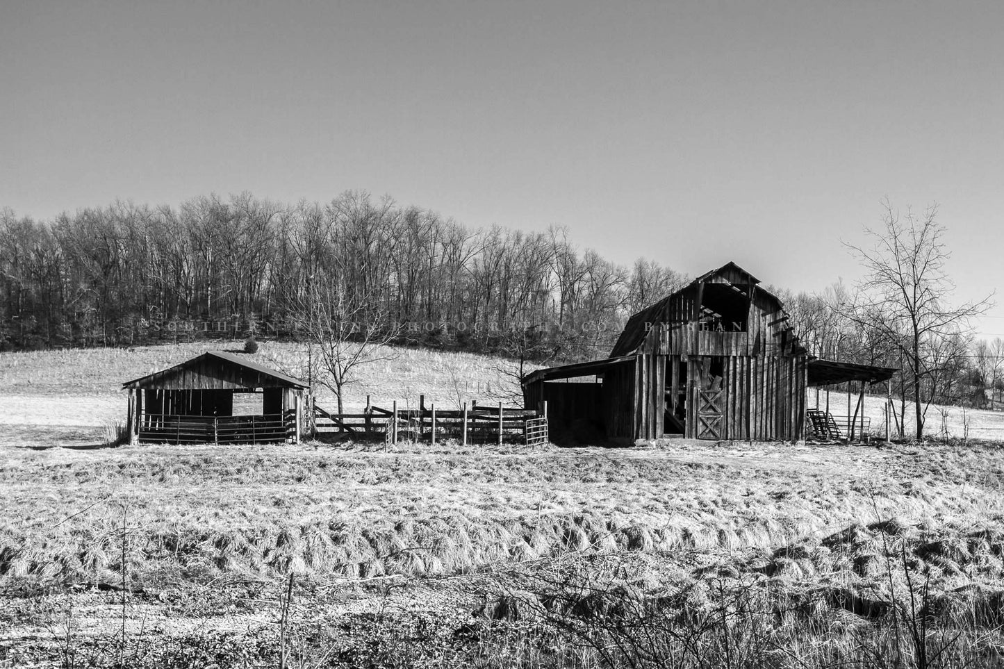 Black and white country photography print of a old wooden barn and pen on a late winter day in the Ozark Mountains of Arkansas by Sean Ramsey of Southern Plains Photography.