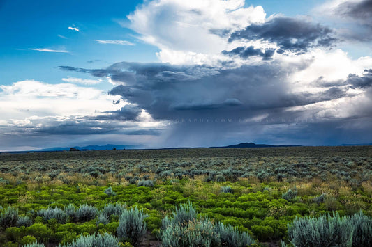 Southwestern photography print of a monsoon thunderstorm over sagebrush in the high desert near Taos, New Mexico by Sean Ramsey of Southern Plains Photography.