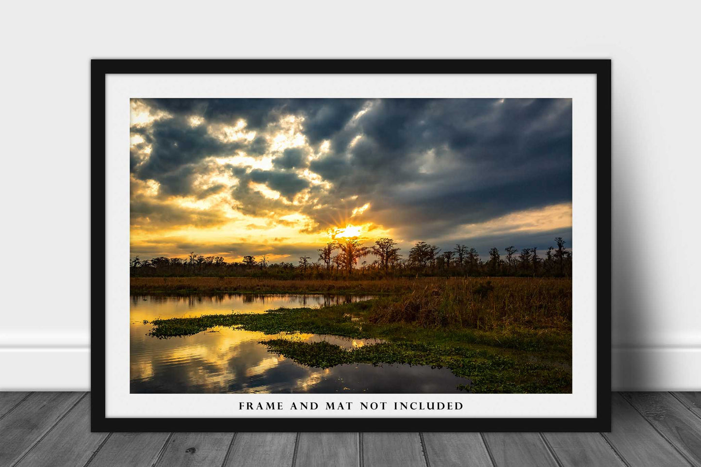 Southern Landscape Photography Art Print - Picture of Cypress Trees on Horizon and Winter Sunset on Louisiana Bayou Wetlands Decor