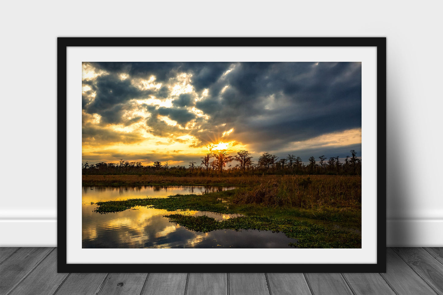 Framed and matted swamp print of a golden sunset taking place over Cypress trees along a bayou in Louisiana by Sean Ramsey of Southern Plains Photography.