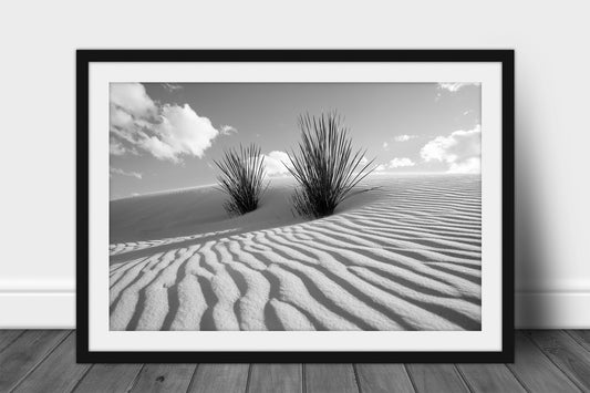 Framed and matted black and white desert southwest print of yucca plants in sand dunes at White Sands National Park, New Mexico by Sean Ramsey of Southern Plains Photography.