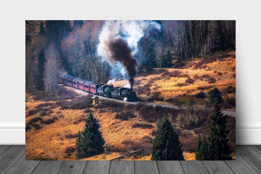 Train aluminum metal print wall art of a steam locomotive emerging from a forest in the Rocky Mountains of Colorado by Sean Ramsey of Southern Plains Photography.