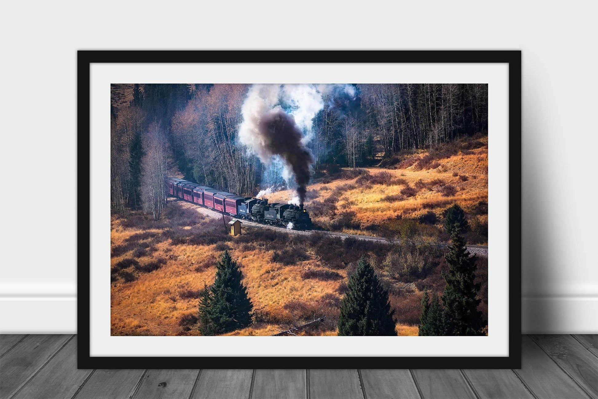 Framed and matted train print of a steam locomotive emerging from a forest in the Rocky Mountains of Colorado by Sean Ramsey of Southern Plains Photography.