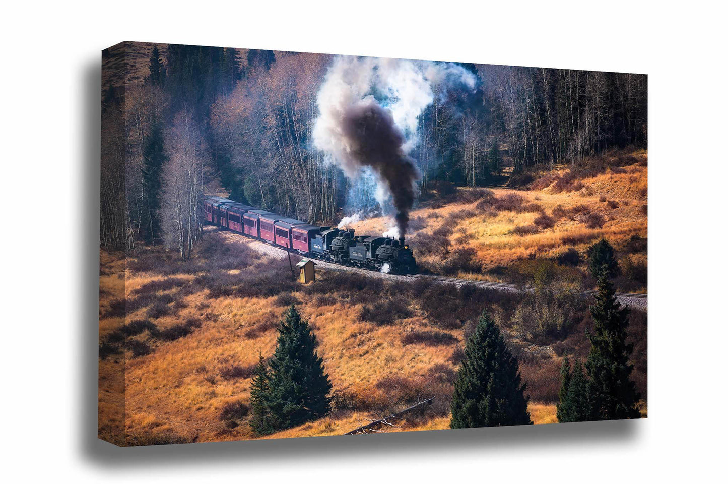 Train gallery wrapped canvas wall art of a steam locomotive emerging from a forest in the Rocky Mountains of Colorado by Sean Ramsey of Southern Plains Photography.