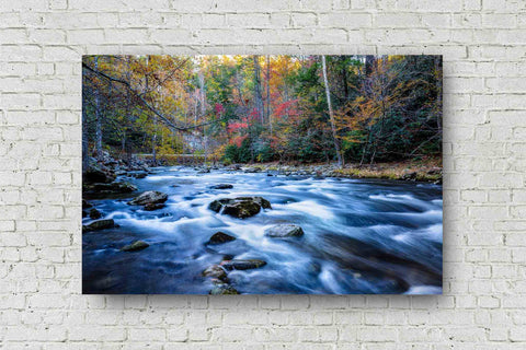 Landscape metal print wall art of Laurel Creek flowing through fall color on an autumn day in Great Smoky Mountains National Park by Sean Ramsey of Southern Plains Photography.