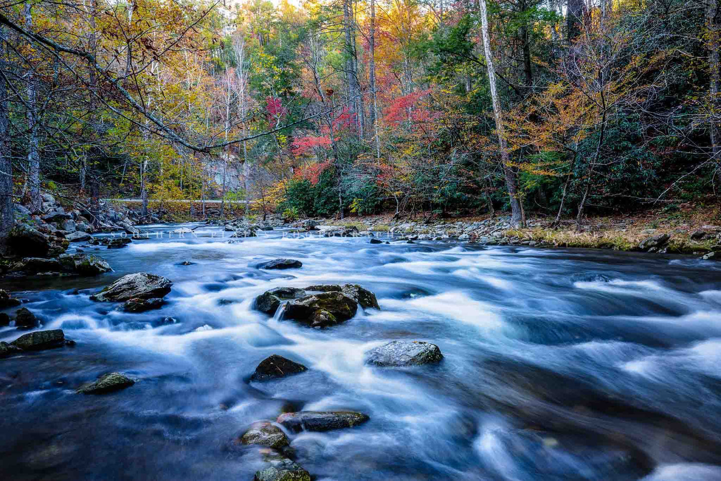 Nature photography print of Laurel Creek rushing through a forest full of fall color on an autumn day in Great Smoky Mountains National Park by Sean Ramsey of Southern Plains Photography.