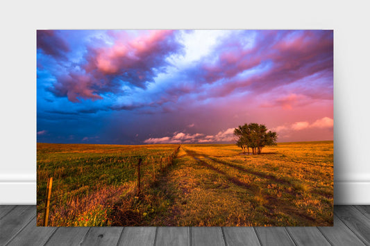 Great plains metal print on aluminum of a stormy sky over a grove of trees and a barbed wire fence at sunset on a spring evening in Oklahoma by Sean Ramsey of Southern Plains Photography.