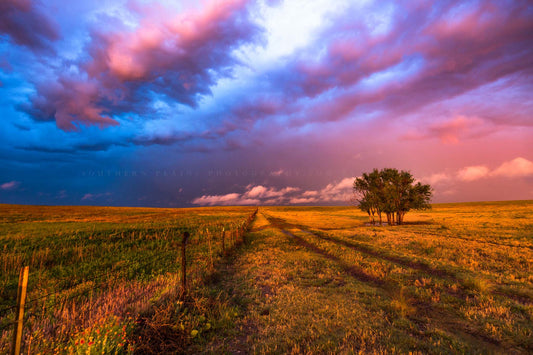 Great Plains photography print of a colorful stormy sky over a fence, trees and wheel ruts on a spring evening in Oklahoma by Sean Ramsey of Southern Plains Photography.