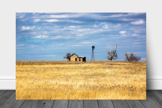 Country aluminum metal print wall art of an abandoned homestead and old windmill on a rise in a field of golden prairie grass on a winter day in Oklahoma by Sean Ramsey of Southern Plains Photography. 