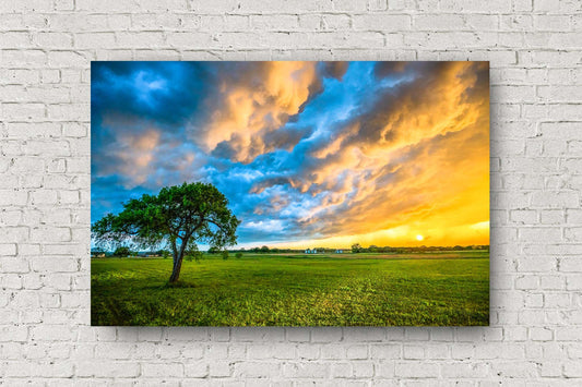 Thunderstorm metal print of colorful storm clouds advancing over a lone tree at sunset on a stormy spring evening in Texas by Sean Ramsey of Southern Plains Photography.